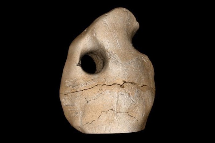 Jewelry Dating 25,000 Years Ago Was Found in Brazil!