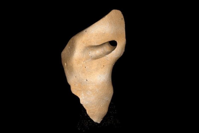 Jewelry Dating 25,000 Years Ago Was Found in Brazil!