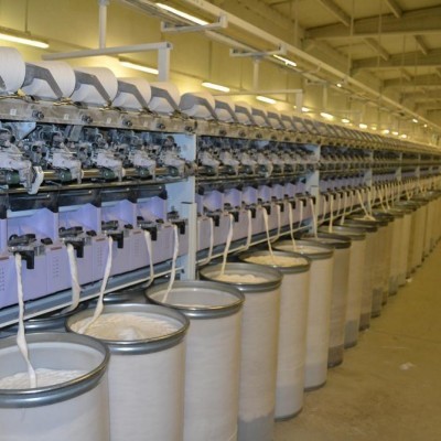 Kavak Tekstil Gıda ve Sanayi Ticaret LTD. ŞTİ.