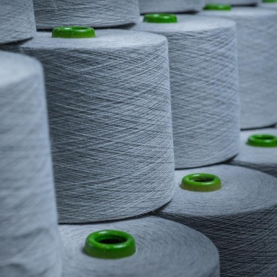 Premium Textile Mills Ltd.