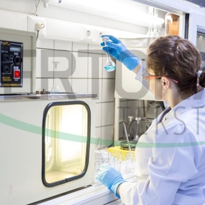 Ertona Tekstil A.Ş.