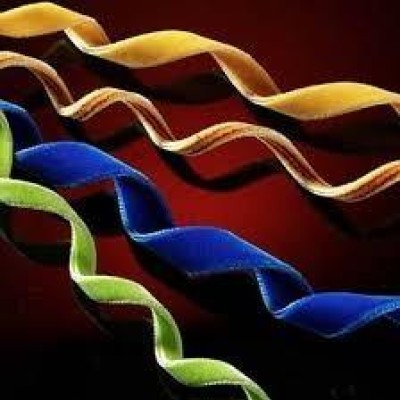 Kadifecim Tekstil Aksesuarları Ltd. Şti.