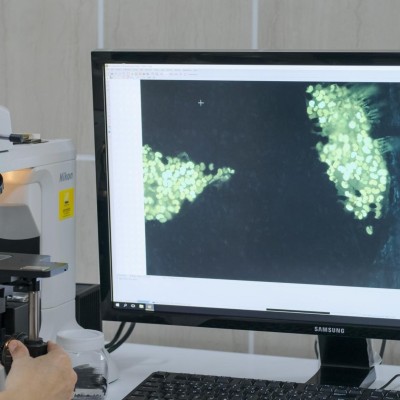 ANADOLU İPLİK ve TEKSTİL FABRİKALARI A.Ş.