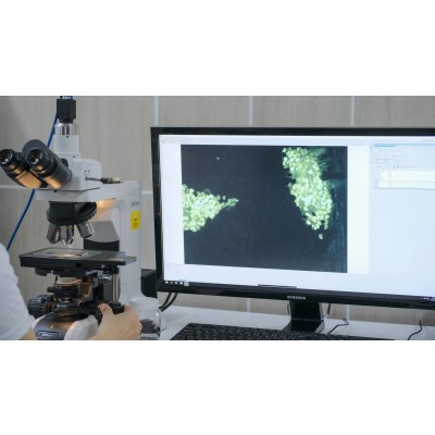 ANADOLU İPLİK ve TEKSTİL FABRİKALARI A.Ş.